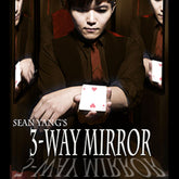 3-Way Mirror