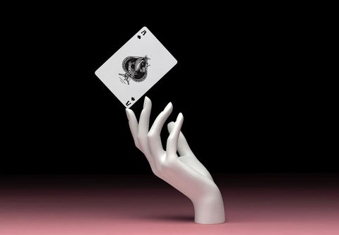 Lepidopterist Playing Cards Lepidopterist Playing Cards