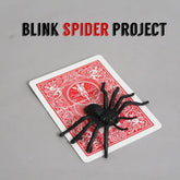 Blink Spider Project