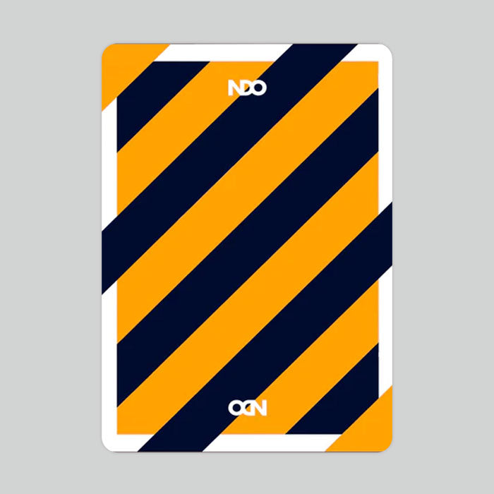 Broken Borders 2020 Playing Cards