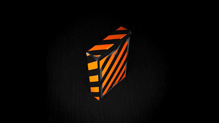 Broken Borders 2020 Playing Cards