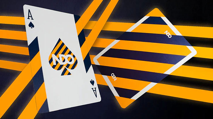 Broken Borders 2020 Playing Cards
