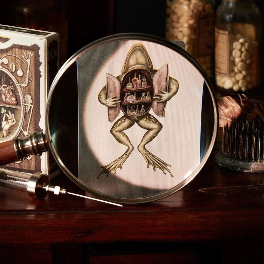 Cabinetarium Playing Cards