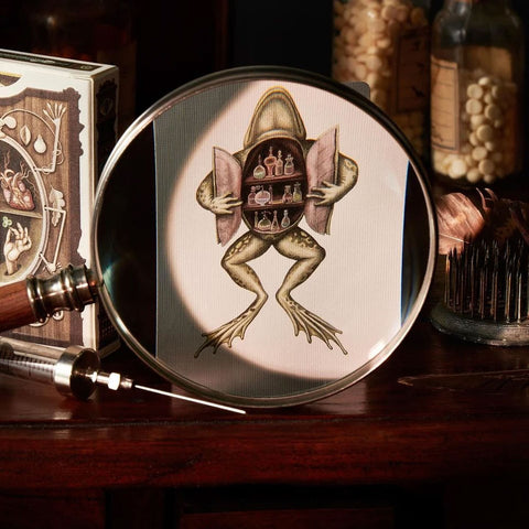 Cabinetarium Playing Cards Cabinetarium Playing Cards