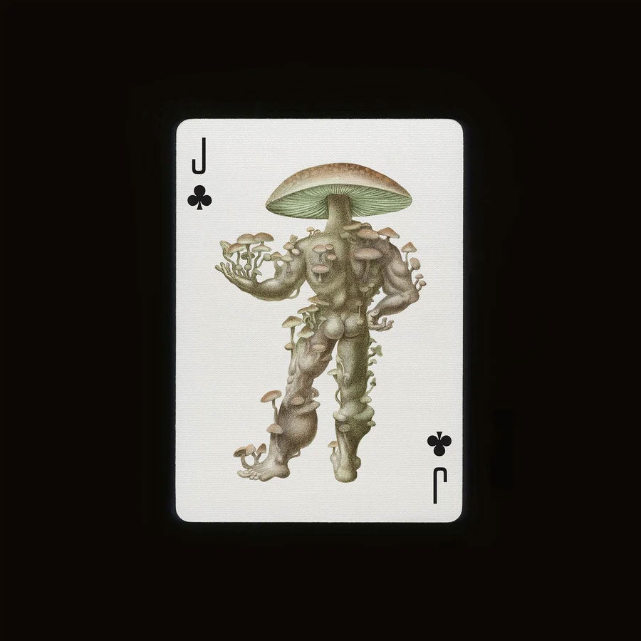 Cabinetarium Playing Cards