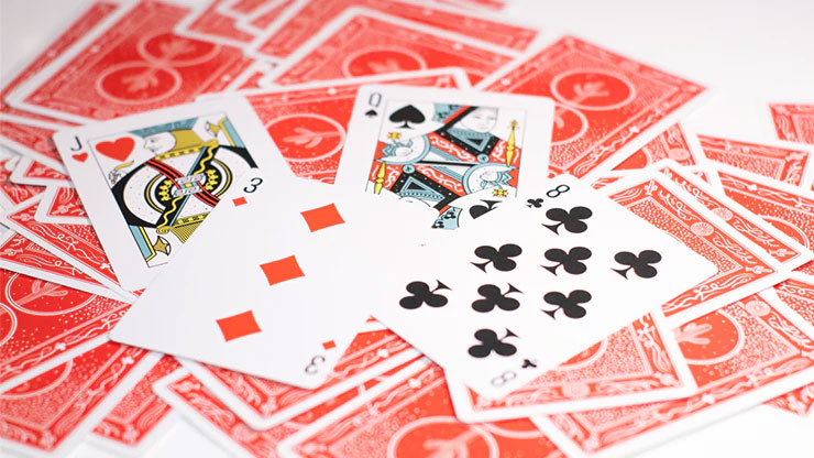 Cactus (Sunset Red) playing card