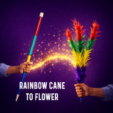 Rainbow Cane To Flower
