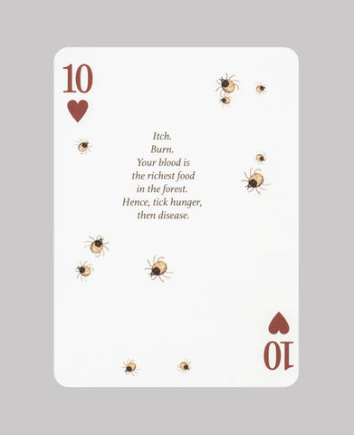 Eastern Forest Playing Cards by Art of Play Eastern Forest Playing Cards by Art of Play