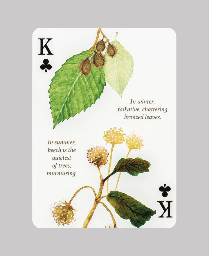 Eastern Forest Playing Cards by Art of Play