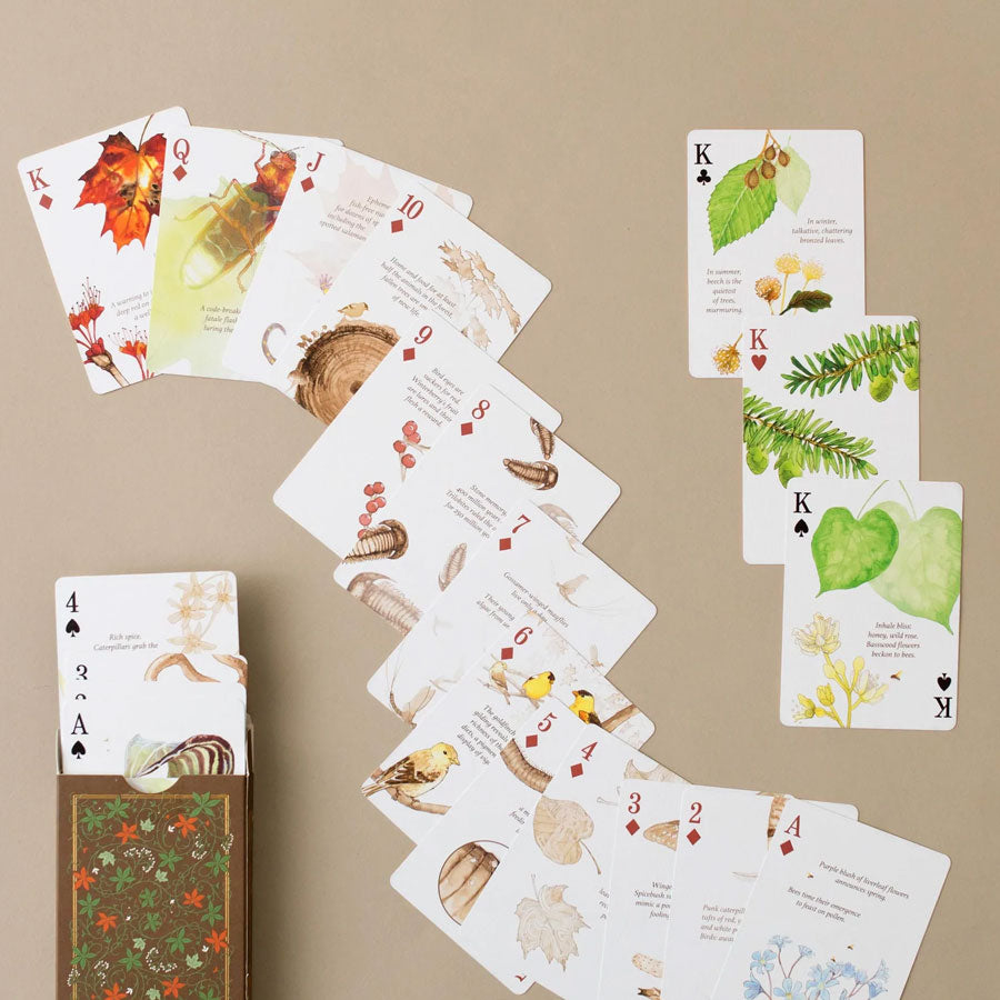 Eastern Forest Playing Cards by Art of Play