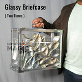 Glassy Briefcase ( Two Times )