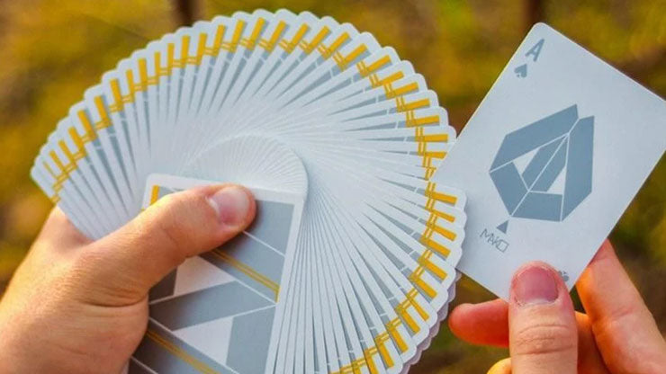 Mako Silversurfer Playing Cards by Gemini