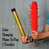 Color Changing Plums To Flag ( Tricolor)