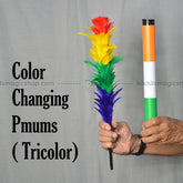 Color Changing Plums (Tricolor)