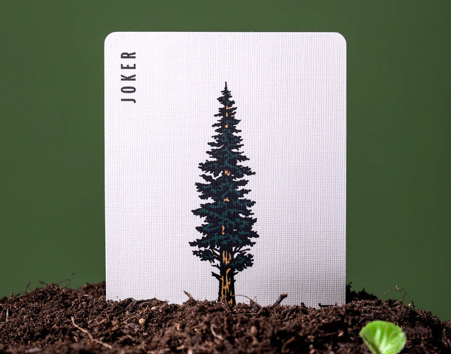 Smokey Bear Limited Edition Playing Cards by Art of Play