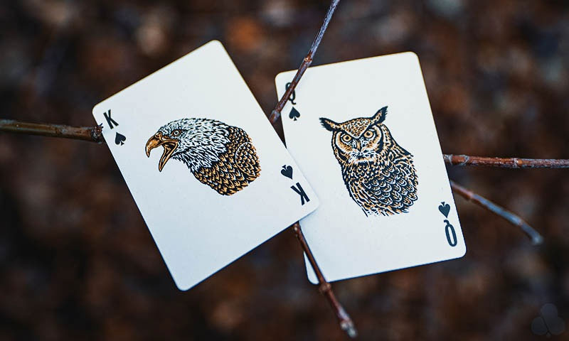 Smokey Bear Playing Cards