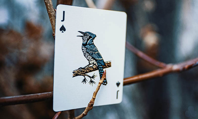 Smokey Bear Playing Cards