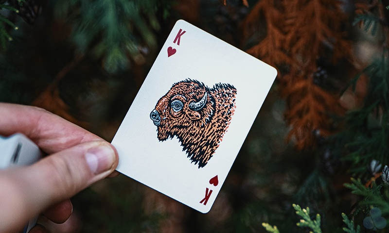 Smokey Bear Playing Cards