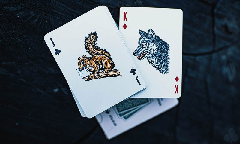 Smokey Bear Playing Cards