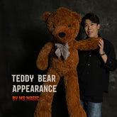 Teddy Bear Appearance MS Magic ( Medium Size)