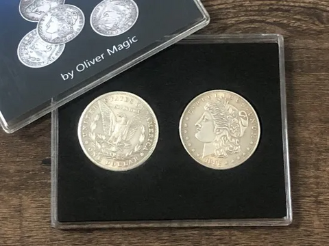 Morgan Dollar Shell and Coin Set (4 Coins 1 Shell)