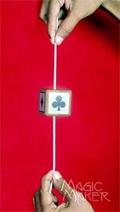 Obedient Cube
