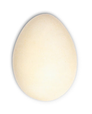 Wooden Egg