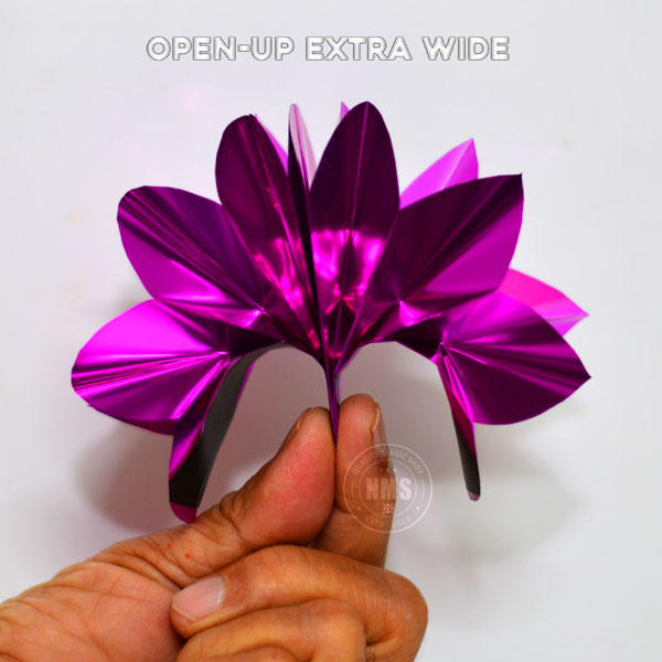 Bare Hand Flower (DLX)