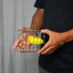 Vanishing Bird Cage