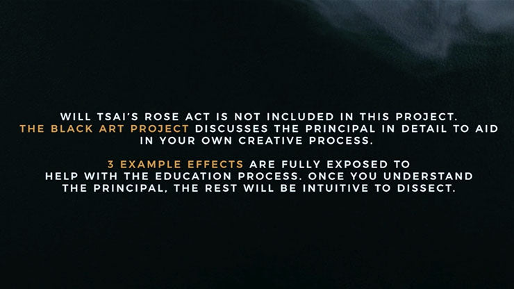 Black Art Project (2 DVD Set) by SansMinds