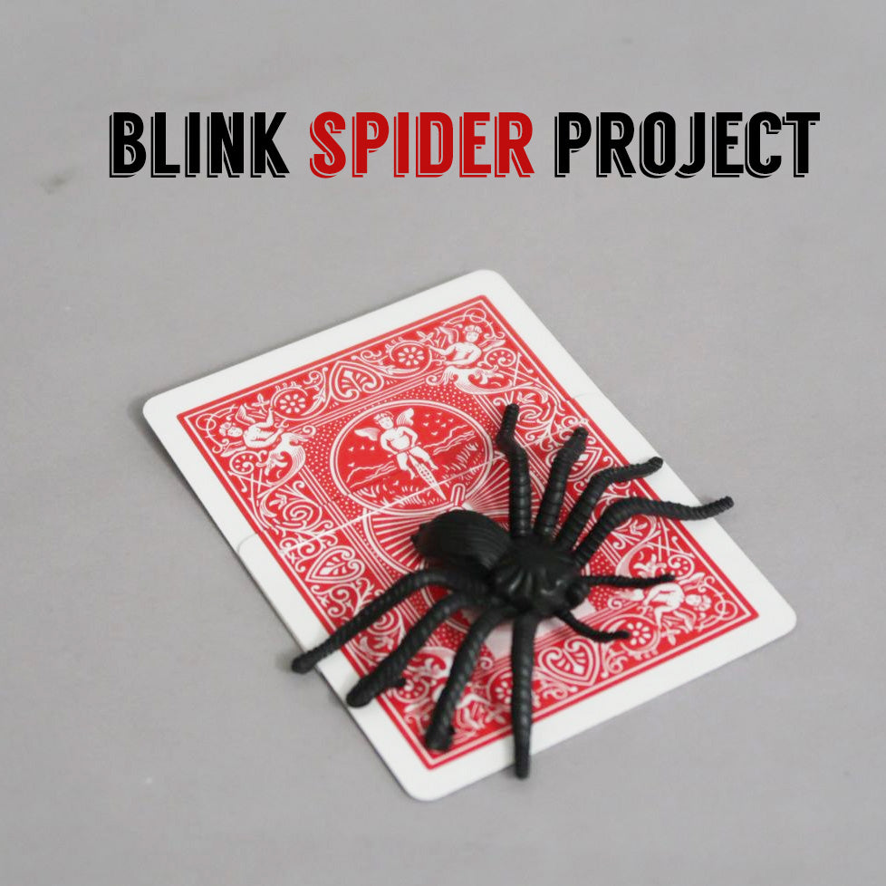 Blink Spider Project