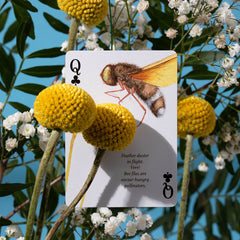 Eastern Forest Playing Cards by Art of Play