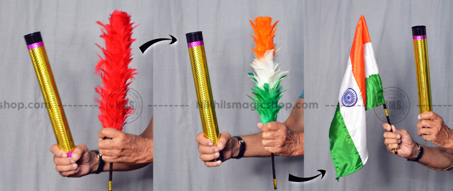 Color Changing Plums To Flag ( Tricolor)