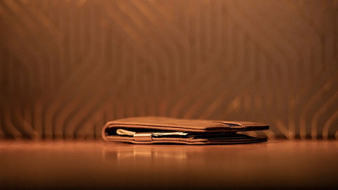 FPS Wallet (Brown)