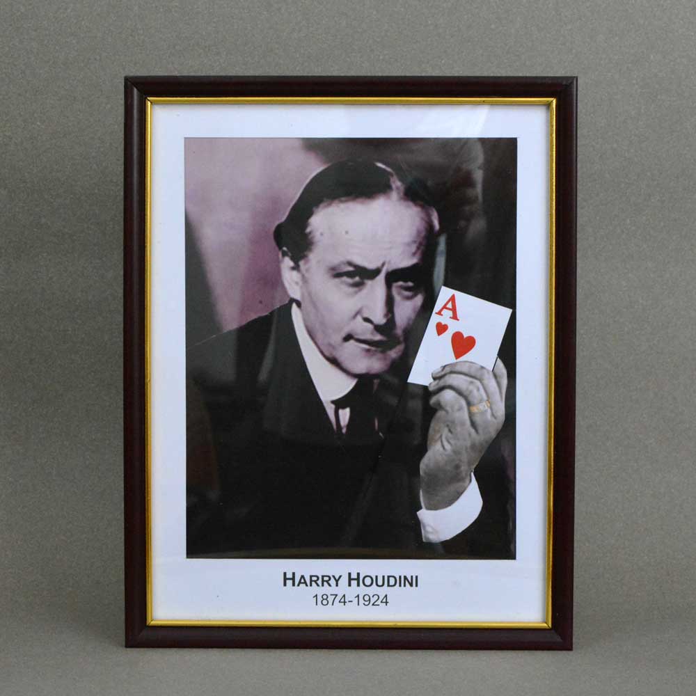 Houdini Prediction Frame