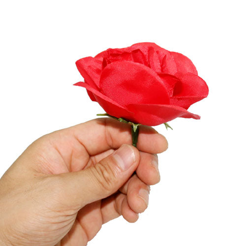 Match To Rose