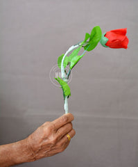 Silk To Rose Plus