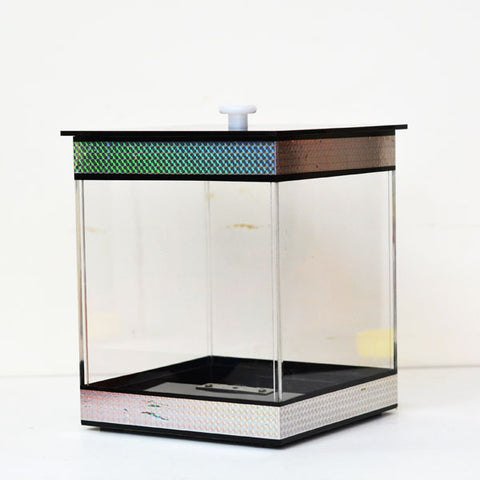 Top Crystal Box