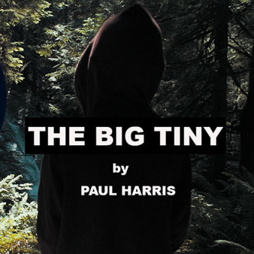 The Vault - The Big Tiny by Paul Harris (VIDEO DOWNLOAD)