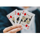 Casual V2 Playing Cards by Paul Robaia 