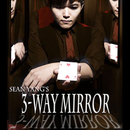 3-Way Mirror