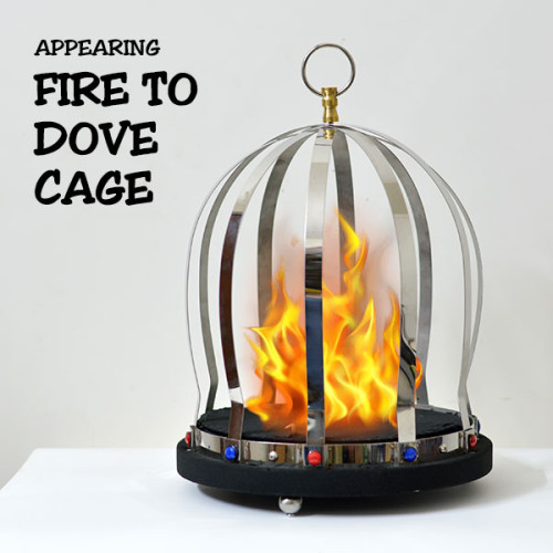 Fire To Dove Cage