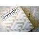 Division Playing Cards