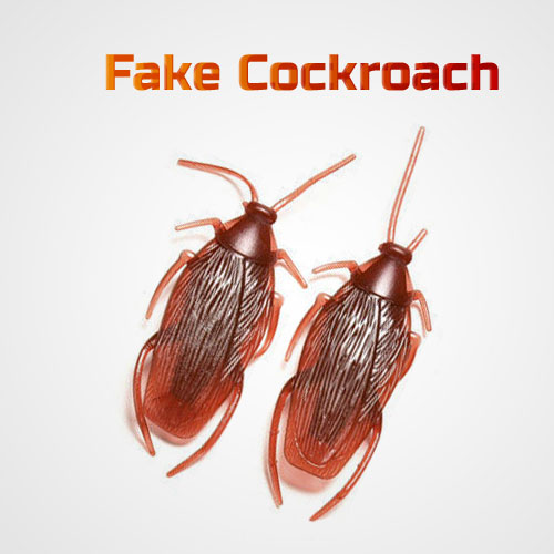 Fake Cockroach