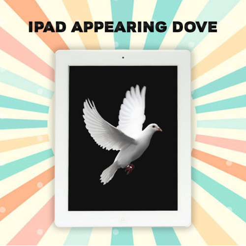 IPad appearing dove