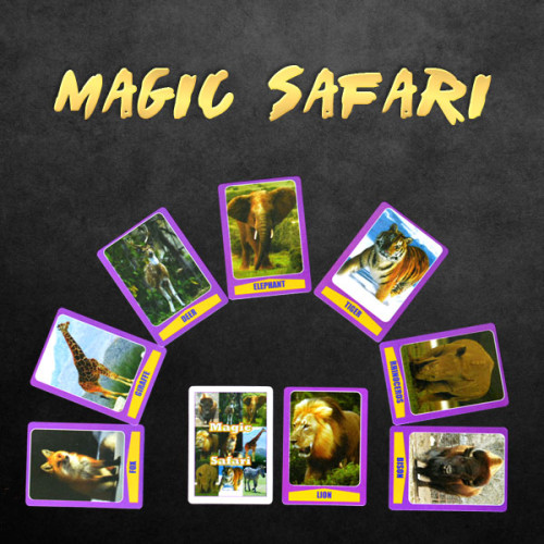 Magic Safari