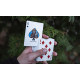 Smokey Bear Playing Cards