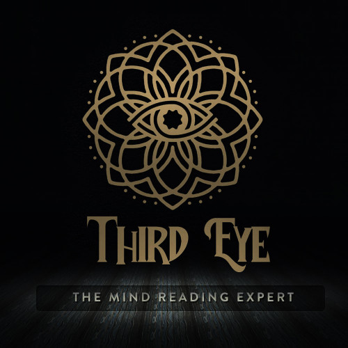 Third Eye ( Mobile App ) 