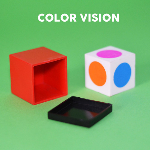 Color vision