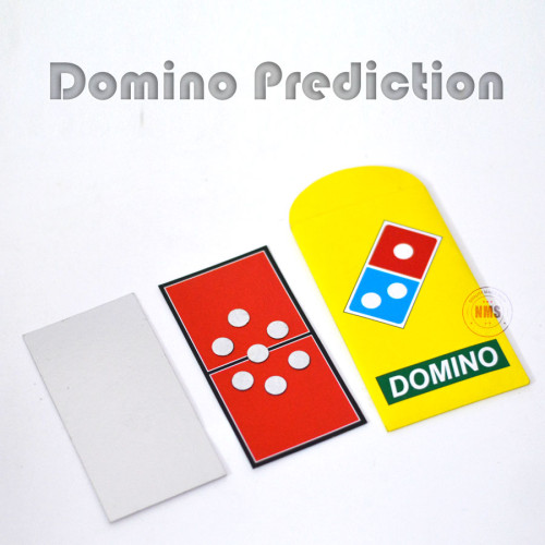 Domino Prediction